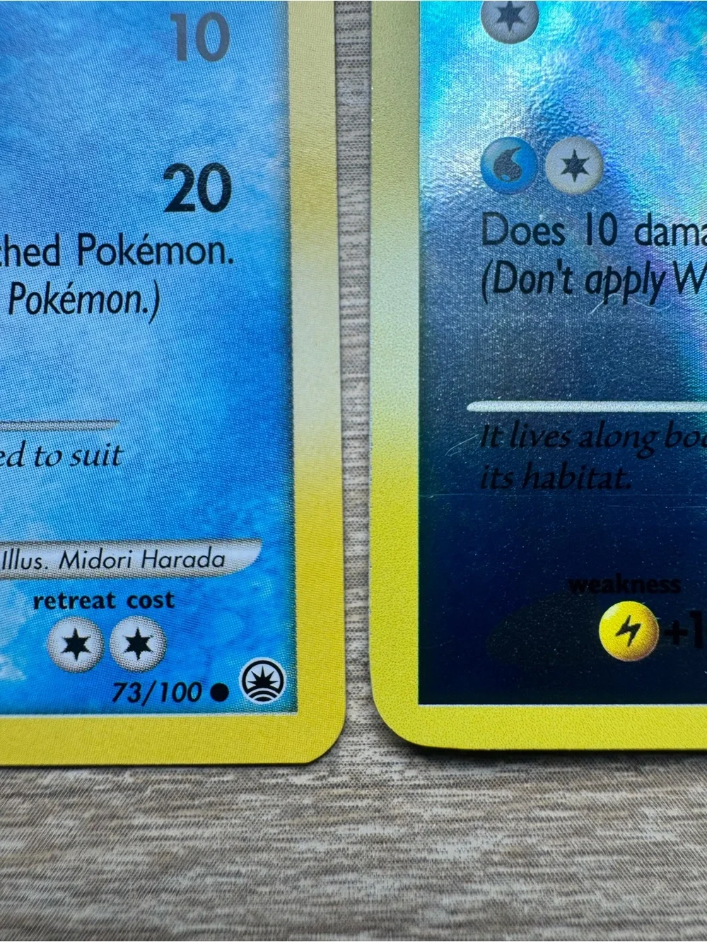 Shellos East Sea #73/Pokemon Majestic Dawn